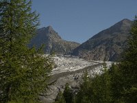 CH, Wallis, Riederalp, Grosser Aletschgletscher 31, Saxifraga-Willem van Kruijsbergen